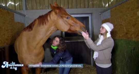 Les Animaux de la 8 : Europa Park offre un record à Élodie Ageron et Sandrine Arcizet, appréciées des CSP+