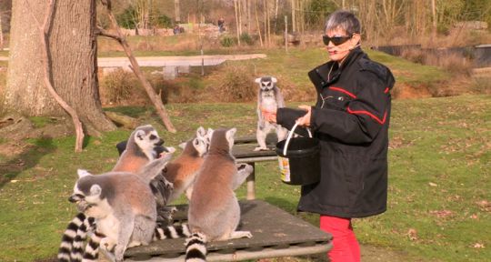 Les Enquêtes de TPMP : Isabelle Morini-Bosc au Zoo, Gilles Verdez apprenti pâtissier sous le regard de Cyril Hanouna
