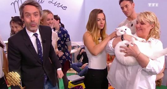 Quotidien : la spéciale chiens et chats moins fédératrice que le tatouage en deuxième partie de soirée sur TF1