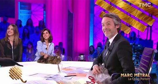 Quotidien : le toutou matou show beaucoup moins fédérateur que le Tattoo show et les Q d’or sur TMC