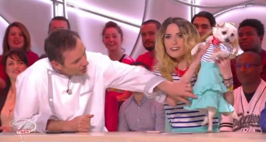 Il en pense quoi Camille ? : Capucine Anav présente sa chienne, Camille Combal passe la barre des 400 000 téléspectateurs