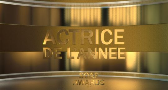 SOAP AWARDS FRANCE 2017 : Sharon Case (Les feux de l’amour), Rena Sofer (Top Models), Hélène Rollès (Les Mystères de l’amour)... choisissez votre gagnante !