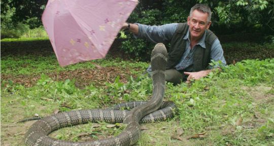 Les dix serpents les plus dangereux : cobra cracheur, vipère notoire, mamba noir, vipère à fossettes... rien n’arrête Nigel Marven 