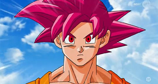 Dragon Ball Super : Goku débute son combat avec Beerus et bat son record d’audience sur NT1