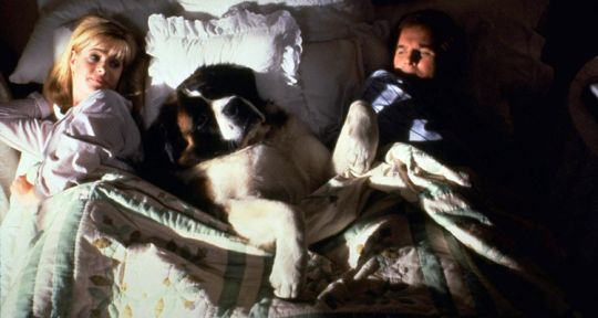 Beethoven 2 leader des audiences en matinée pour France 3 devant Amour, gloire et beauté, Tfou et Demain nous appartient