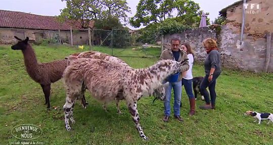 Bienvenue chez nous : Christophe Dechavanne malmené par les animaux, TF1 triomphe à la ferme