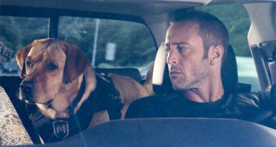 Hawaii 5-0 (saison 8) : Junior Reigns (Beulah Koale) définitivement engagé, Steve (Alex O’Loughlin) et Danny (Scott Caan) chassent des pères Noël braqueurs