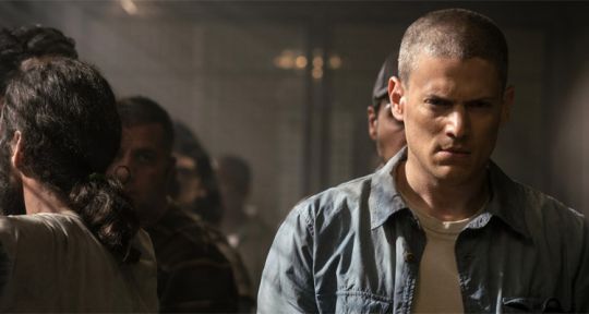 Prison Break : une saison 6 déjà écrite, Michael Scofield fait peau neuve avec l’intégralité de la saison 5 sur W9