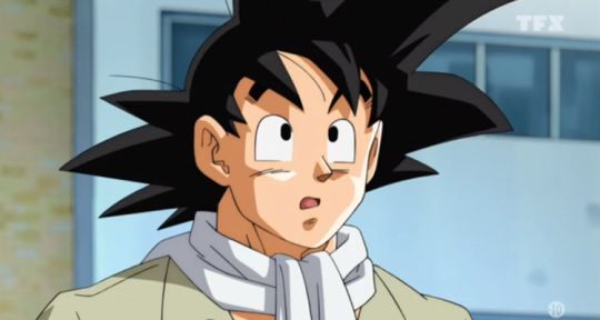 Dragon Ball Super : Gokû et Vegeta trop courts face aux Mystères de l’amour et Merlin