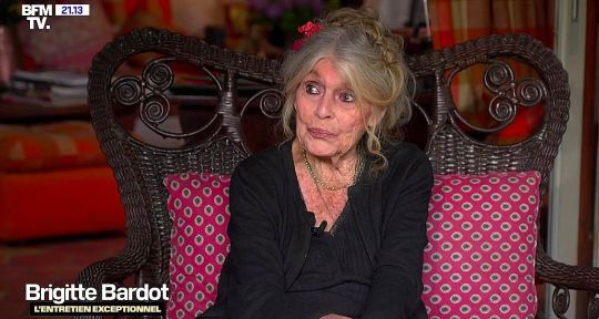 C’est un record ! Brigitte Bardot explose l’audience de BFMTV après 11 ans sans TV