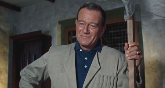 Hatari ! : Pourquoi John Wayne a tué un éléphant pendant le tournage du film