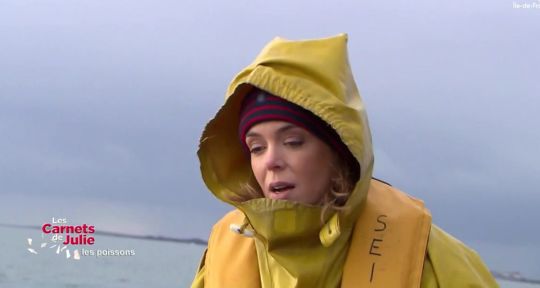 Les carnets de Julie : un retour tourmenté pour Julie Andrieu