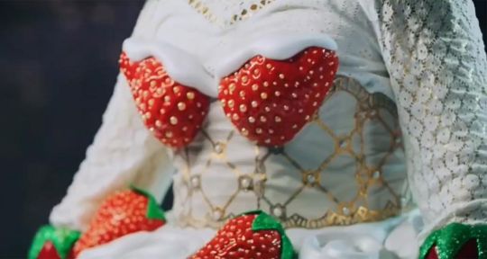 Mask Singer : le fraisier a piégé sa fille pendant le tournage, et c’était sacrément osé ! 