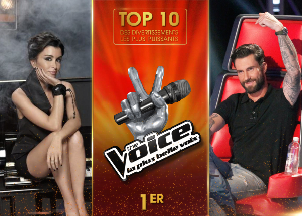 The Voice est le divertissement le plus regardé en 2013 : jusqu’à 70.6 millions de téléspectateurs