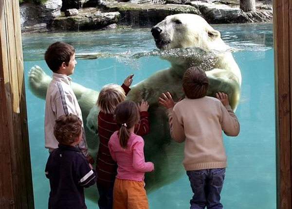 Une saison au zoo, le prochain access de France 4 ?