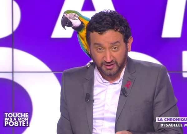 Touche pas à mon poste : Cyril Hanouna danse avec un perroquet sur la tête, le public suit