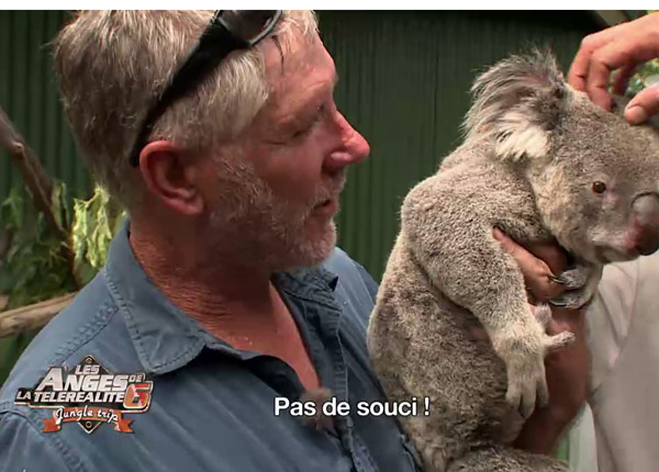 Les Anges de la télé-réalité : avant la dispute Amélie/Anaïs, le jungle trip touche à sa fin sur NRJ12 Les Anges de la télé-réalité : avant la dispute Amélie/Anaïs, le jungle trip touche à sa fin sur NRJ12