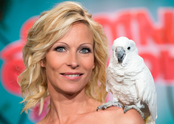 Rebecca Hampton sur NRJ12, quel sort pour Céline Frémont dans Plus belle la vie ? Rebecca Hampton sur NRJ12, quel sort pour Céline Frémont dans Plus belle la vie ?