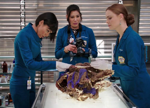 Bones : l’obsession de Brennan passionne les fidèles Bones : l’obsession de Brennan passionne les fidèles