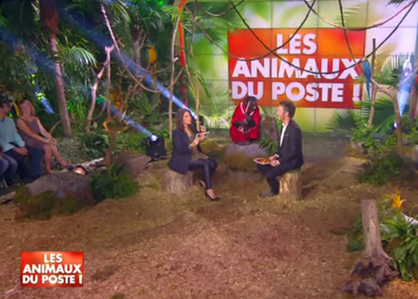 Les animaux du poste : la bande de Cyril Hanouna en petite forme