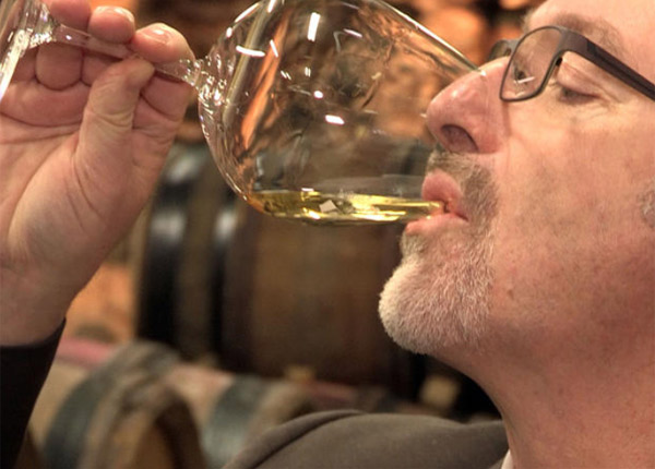 Escargots, vins et produits basques : à la recherche du terroir perdu sur Canal+
