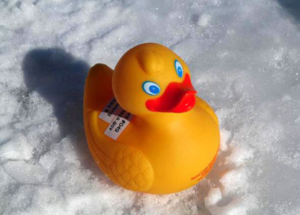 Rubber Ducks : une série sur le changement climatique par Haut et Court (Les Revenants)