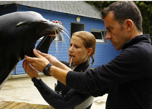 Une saison au zoo bat son record d’audience sur France 4