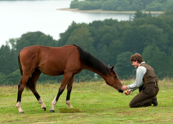 Cheval de guerre : la fresque épique de Steven Spielberg