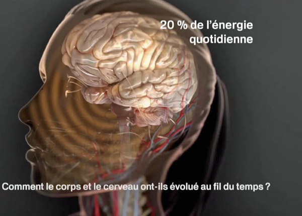 Les pouvoirs extraordinaires du corps humain : Michel Cymes et Adriana Karembeu séduisent sur France 2