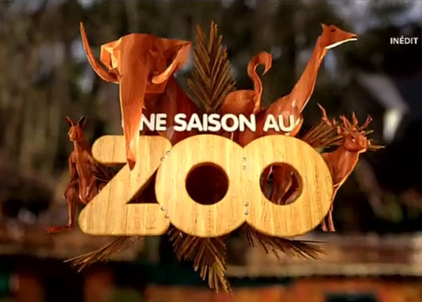 Une saison au zoo : la saison 3 lancée en prime début avril sur France 4