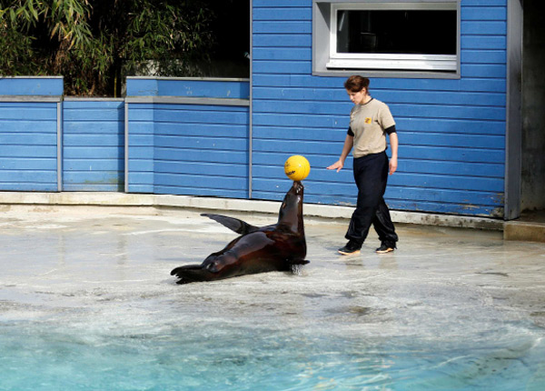 Une Saison au zoo : France 4 lance la production de la saison 4 Une Saison au zoo : France 4 lance la production de la saison 4