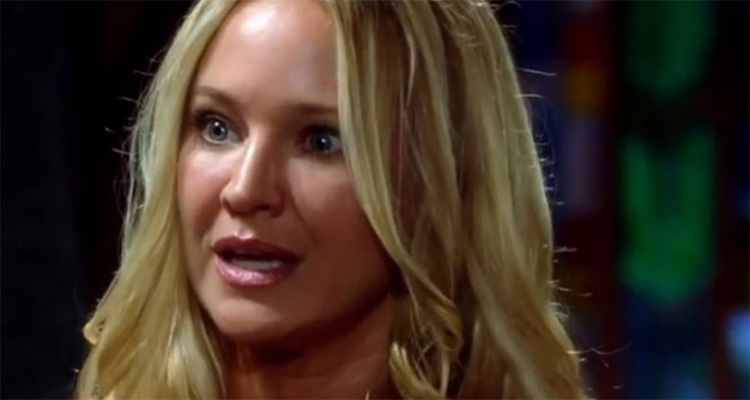 Les feux de l’amour (VIDEO) : Sharon (Sharon Case) en guerre contre Nikki