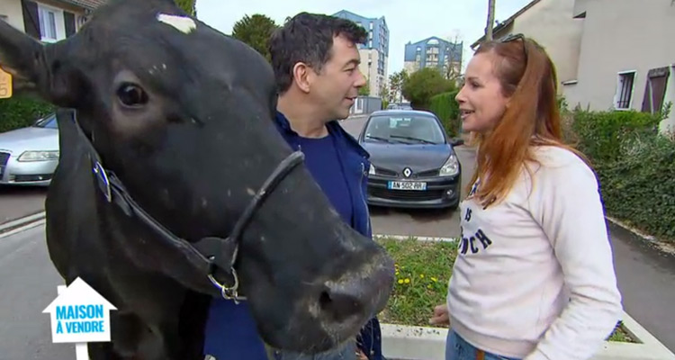 Maison à vendre : Stéphane Plaza à Chauvry et Itteville, avec Emmanuel Rivassoux et Sophie Ferjani