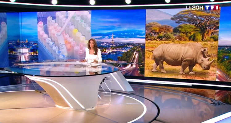 Audiences JT (dimanche 31 mars 2019) : Anne-Claire Coudray regonflée en soirée, Leïla Kaddour et Laurent Delahousse sur une pente descendante