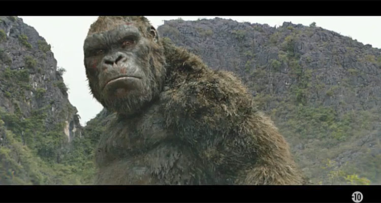 Audiences TV Prime (dimanche 13 octobre 2019) : Kong Skull island détruit tout sur TF1, Dans la Brume électrique triomphe sur Arte Audiences TV Prime (dimanche 13 octobre 2019) : Kong Skull island détruit tout sur TF1, Dans la Brume électrique triomphe sur Arte