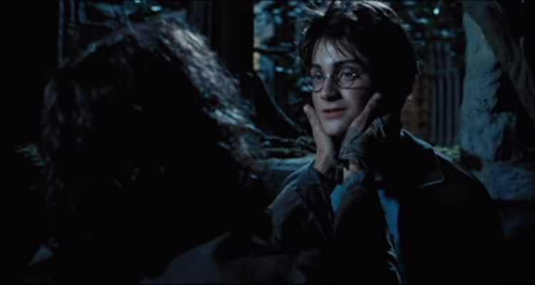 Harry Potter et le prisonnier d’Azkaban (TF1) : comment Daniel Radcliffe et Gary Oldman (Sirius Black) sont devenus inséparables sur le tournage