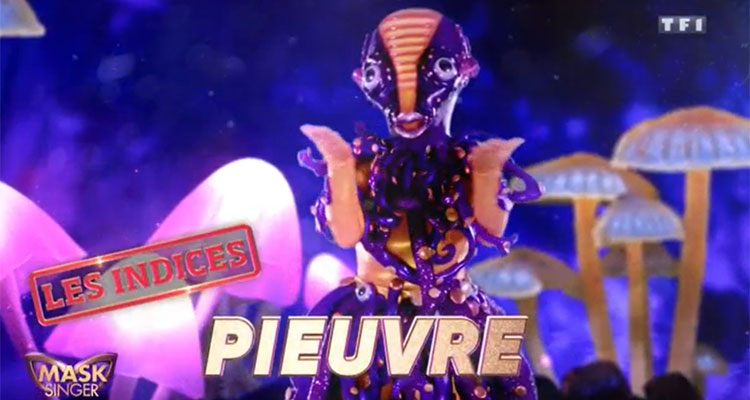 Mask Singer (TF1) : Qui est la pieuvre ? Tous les indices dévoilés pour trouver la célébrité dans le costume