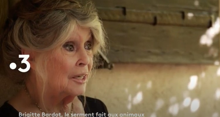 Brigitte Bardot : Marie-Sophie Lacarrau accusée, pourquoi elle est devenue la bête noire de celle qui a prêté serment aux animaux