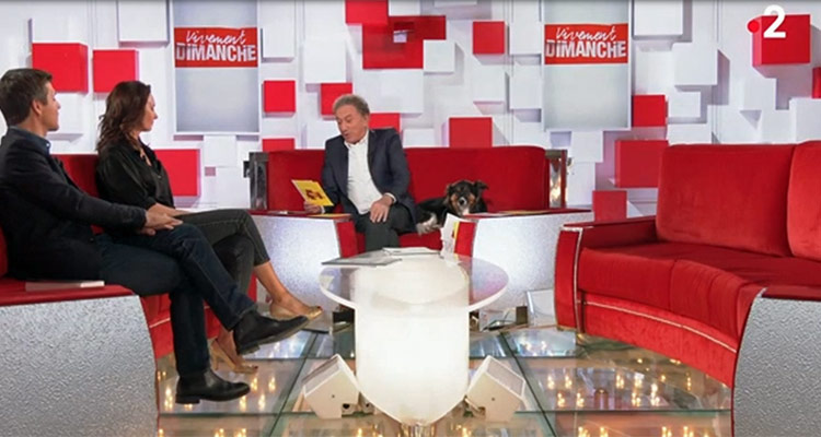 Vivement dimanche : Michel Drucker se venge, un célèbre duo fait frémir l’audience France 2 Vivement dimanche : Michel Drucker se venge, un célèbre duo fait frémir l’audience France 2