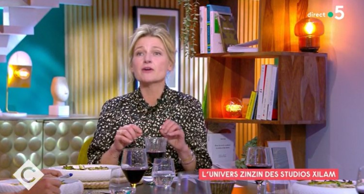 C à vous : incident en direct pour Anne-Elisabeth Lemoine, erreur fatale pour France 5 ?