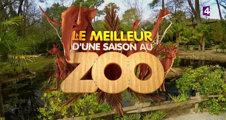 Le Meilleur d’Une saison au zoo (France 4) devance W9 et Malcolm