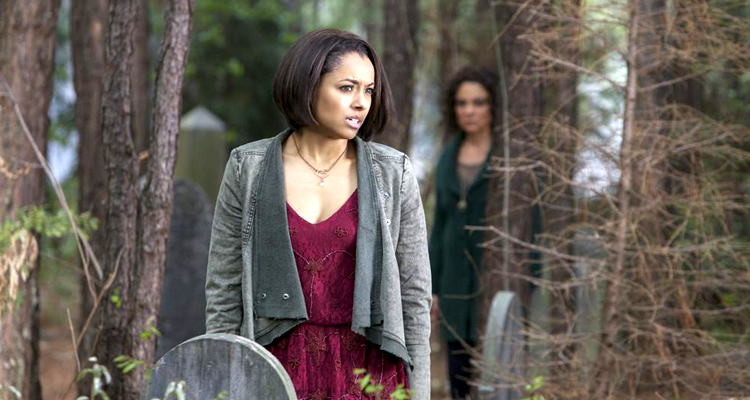 Vampire Diaries, True Blood : quelles audiences pour les deux séries saignantes de NT1 ?