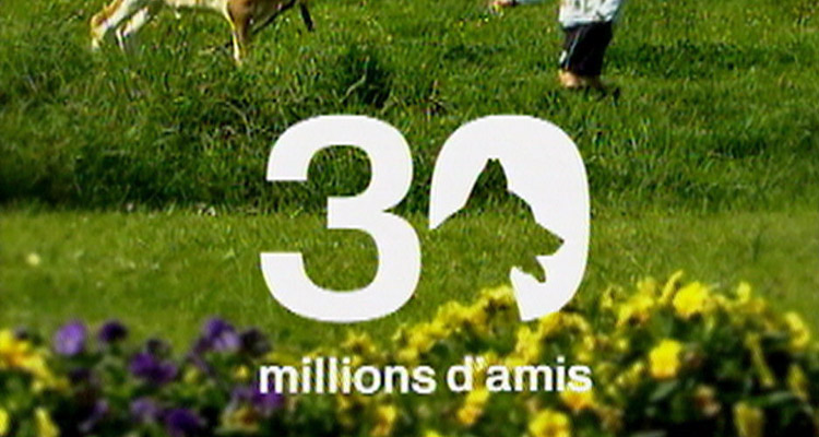 30 millions d’amis réduit de moitié le mercredi sur France 3, Ludo supprimé