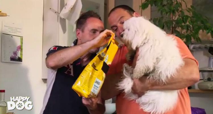 Happy Dog : M6 en chute, devancée par les téléfilms de D8