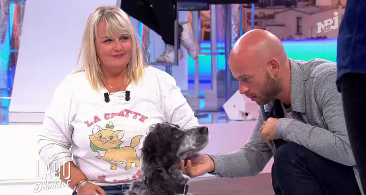 Le labo de Damidot : pas de sursaut d’audience pour Valérie Damidot et Franck Gastambide sur NRJ12