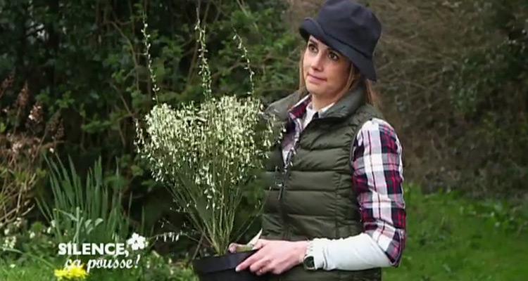 Silence, ça pousse ! : Monsieur Plant (Christophe Guinet), le jardin exotique d’Èze, et le green village d’Angers pour Stéphane Marie et Caroline Munoz