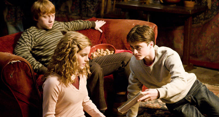 Harry Potter et le prince de sang-mêlé : Daniel Radcliffe sur les traces du passé de Voldemort (Ralph Fiennes)