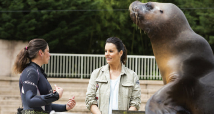 Après Le Meilleur patissier, Faustine Bollaert prend un « Départ immédiat » pour le Zoo de Pal