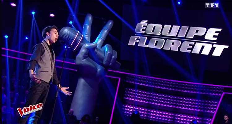 Audiences TV du samedi 6 mai 2017 : The Voice de nouveau en baisse, un hommage réussi pour Victor Lanoux sur France 3, Baffie Président fédérateur