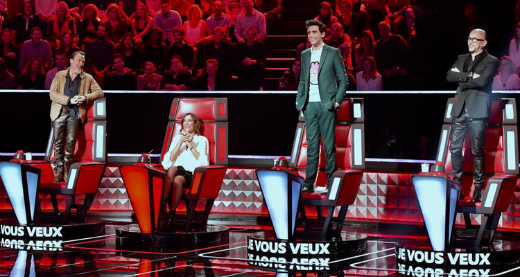 Programme TNT, à la télé ce soir du samedi 10 mars 2018 : les auditions de The Voice, Meurtres à Grasse avec Lorie Pester, Echappées belles, Hawaii 5-0...